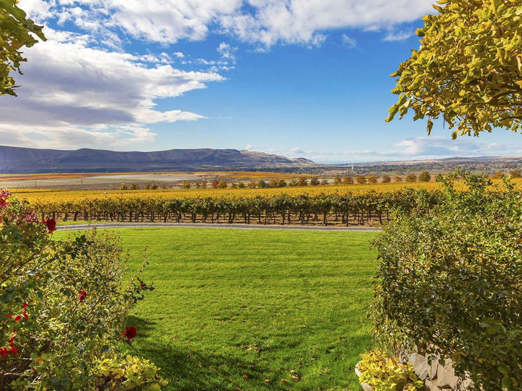 Wine Tours Seattle